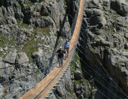 trift-suspension-bridge-steel-structure-2